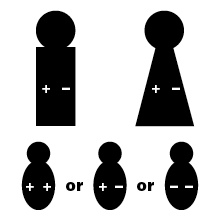 Graphic showing icons of father with Rh positive and Rh negative genes, mother with Rh positive and Rh negative genes and icons of three babies. One baby has two Rh positive genes and is Rh positive. One baby has one Rh positive gene and one Rh negative gene and is Rh positive. One baby has two Rh negative genes and is Rh negative.