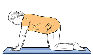 Person on all fours with back straight.